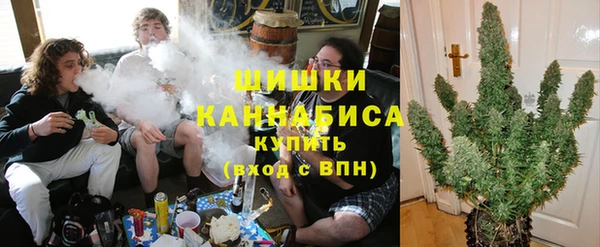 тгк Белокуриха