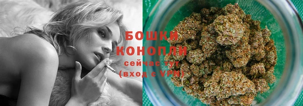 тгк Белокуриха